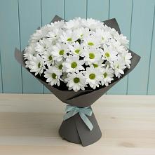 Букет цветов из:  Хризантемы в Костромской