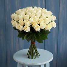 Букет 51 Белая роза Эдлесс Лав #REPLACE_PRED# Костромской