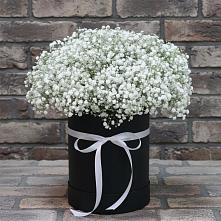 Цветочная композиция из Гипсофила в шляпной коробке в Костромской