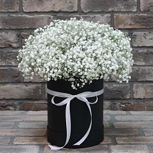 Цветочная композиция из Гипсофила в шляпной коробке в Костромской