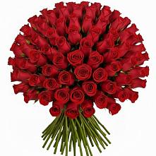 Букет Красные розы Чери Лав в Костромской
