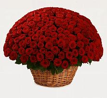 Премиум букет из: Розы в Костромской